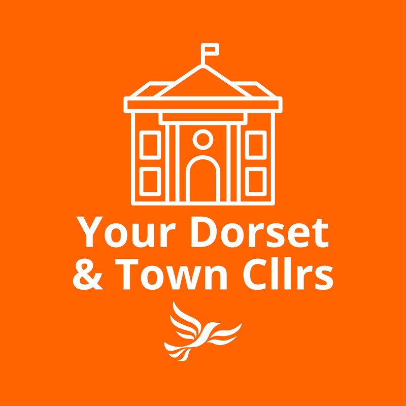 Your Dorset & Town Councillors