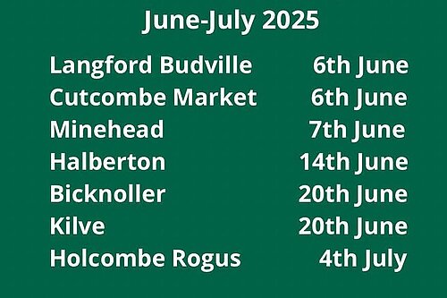 Constituency Surgeries June-July