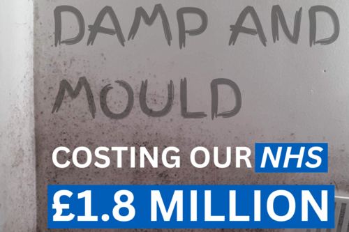 Damp and Mould