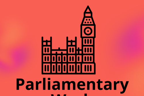 Edward's Parliamentary Work