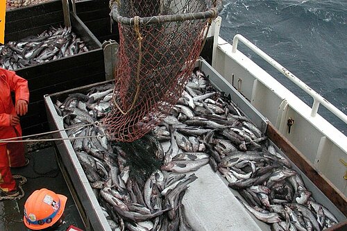 Fishing vessel with its crew and a catch of fish