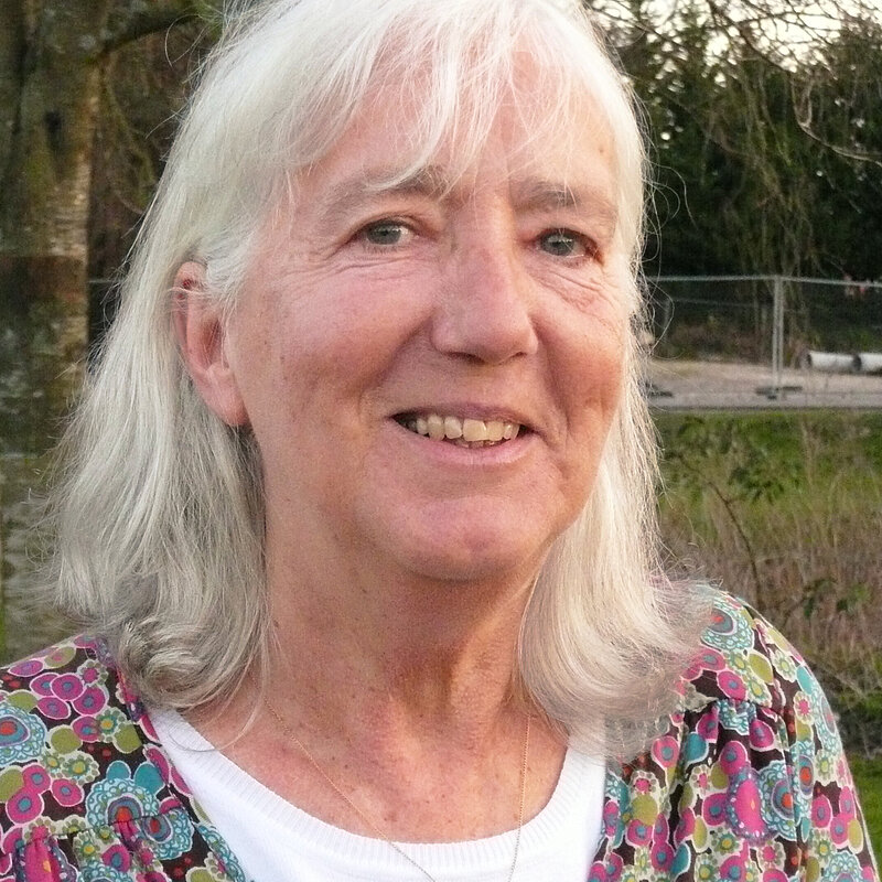Stella Jones has long grey hair and is wering a pink multicolour blouse
