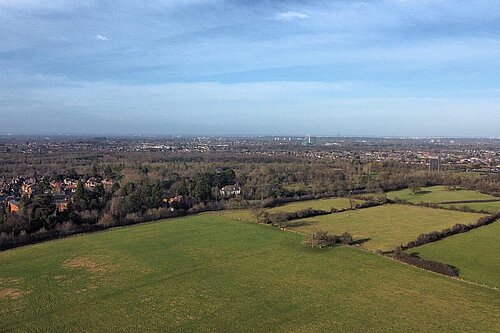 Horton hortonaerial