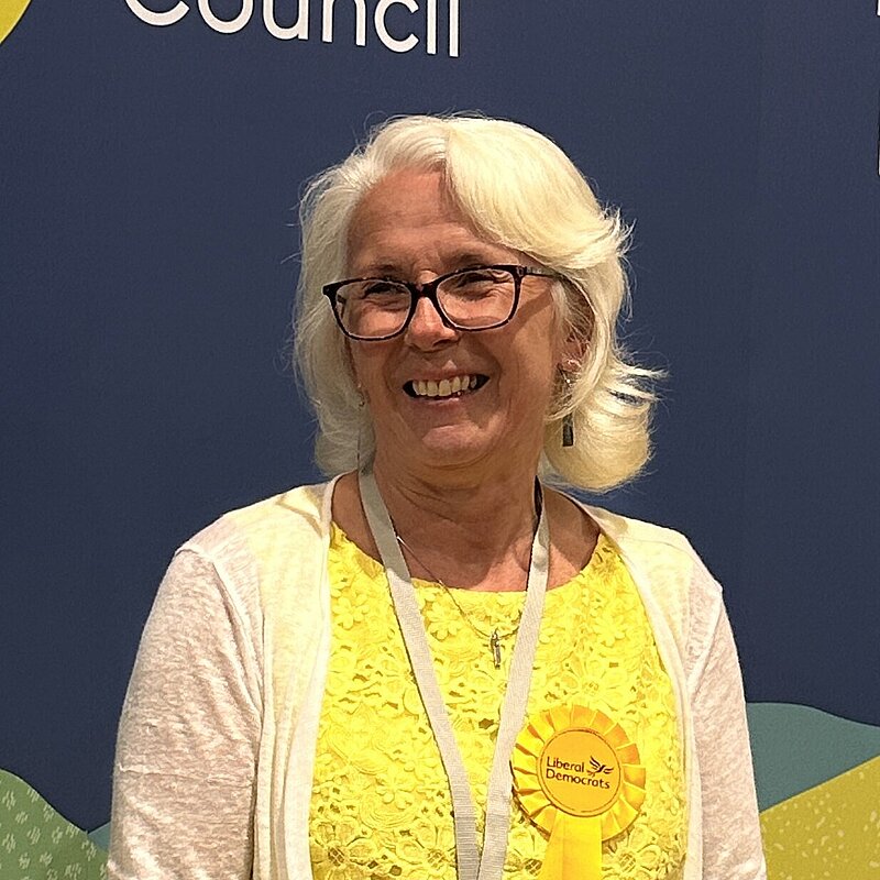 Sally Holland Stood in front of a Dorset Council Graphic banner. She is wearing a yellow dress and a white cardigan.